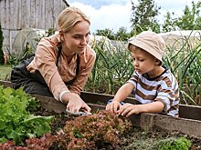 Переезд за город стал трендом. Как получить поддержку от государства?