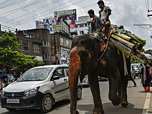  Дешевле Китая: 10 индийских авто, которые не ударят по карману