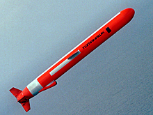 В России назвали слабое место ракет Tomahawk